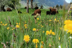 1739480158212.jpg-titel